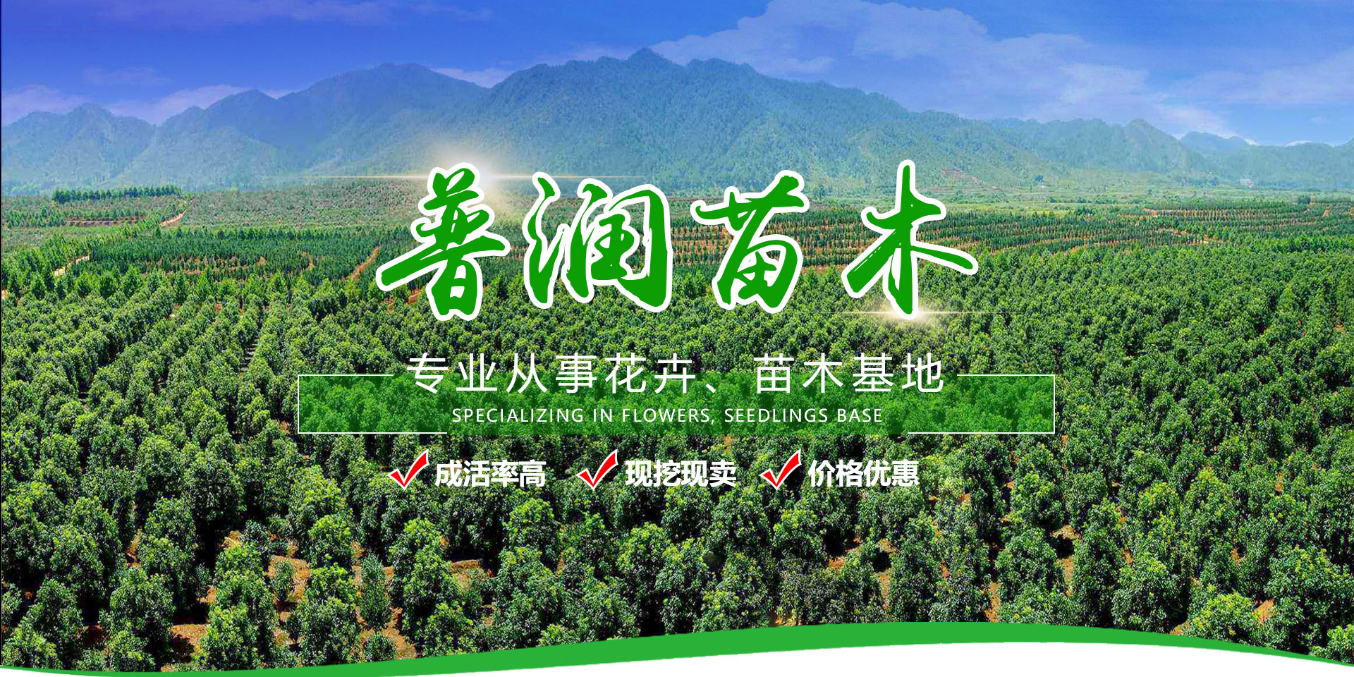青州市普潤(rùn)苗木有限公司